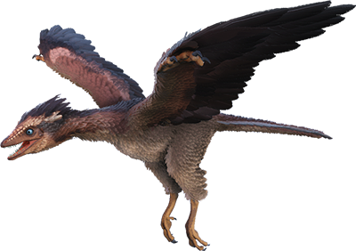 Archaeopteryx